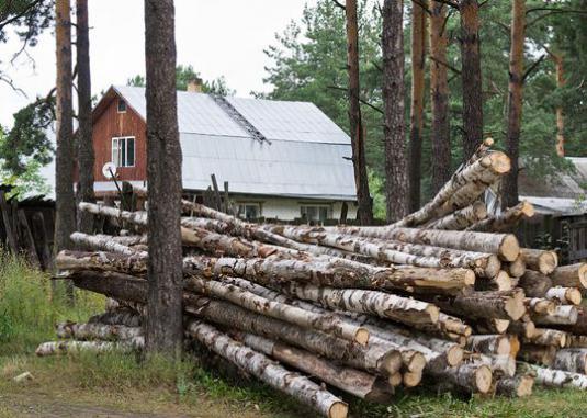 Cum de a obține o pădure pentru construcții?