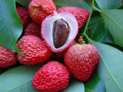 Cum este lychee?