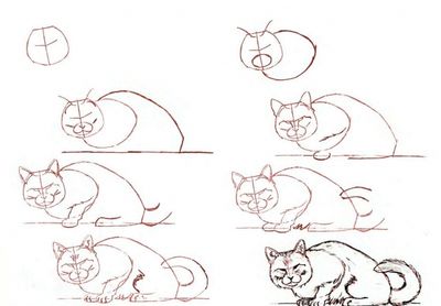 Cum să desenezi o pisică în etape?