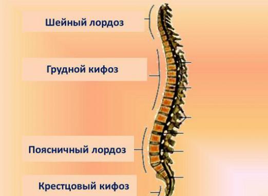 Ce este kyphosis?